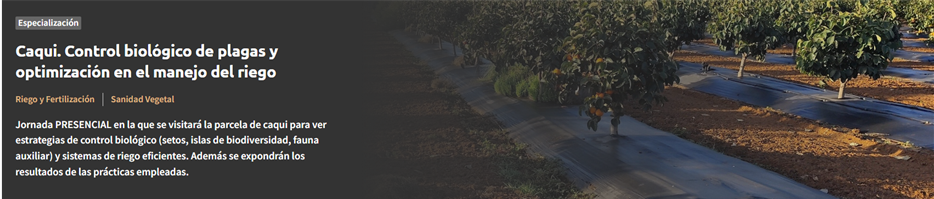 Caqui. Control biológico de plagas y optimización en el manejo del riego